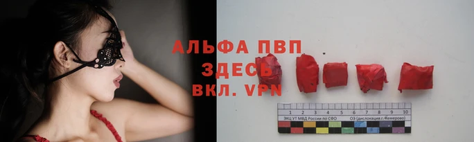 соль курить ск Бородино