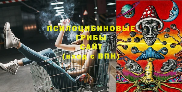 apvp Бронницы