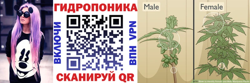 omg ссылка  Волосово  Конопля Bruce Banner  как найти наркотики 